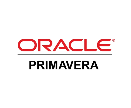 Primavera P6 Professional