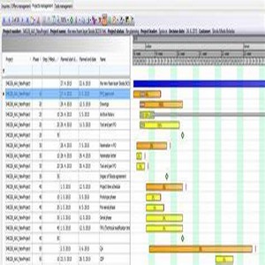 Primavera P6 Professional Step-by-Step